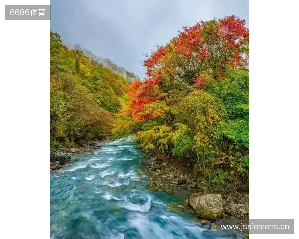 二郎山喇叭河赏秋之旅：立体彩林、野生动物、溪谷红石融为一体
